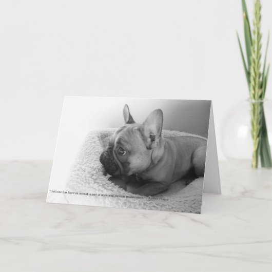 ノートカード (正面)