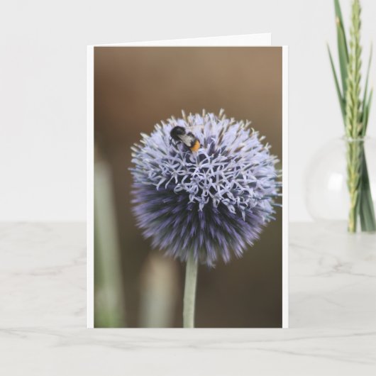 ノートカード (正面)