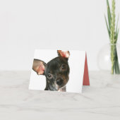 ノートカード (正面)