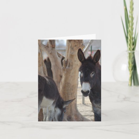 ノートカード (正面)