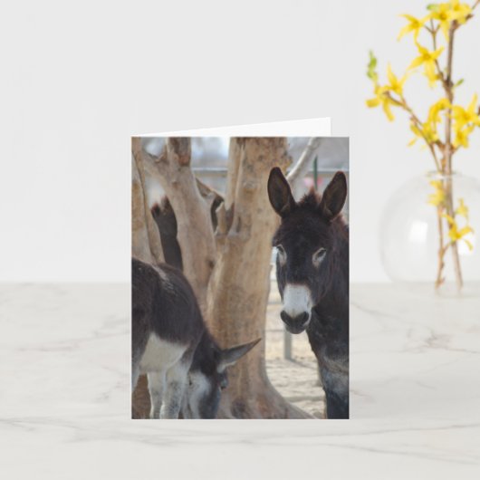 ノートカード (黄色い花)