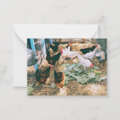 ノートカード (正面)