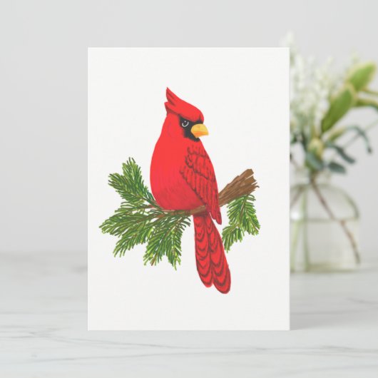 ノートカード,(鳥)ショウジョウコウカンチョウ空白の, シーズンカード (スタンド正面)