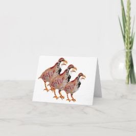 ノートカード： Partridge ノートカード