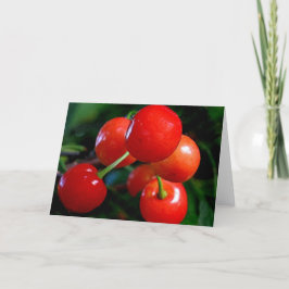 ノートカ空白のード：さくらんぼ カード