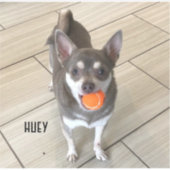 ノートパソコンキー シール (正面)