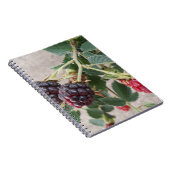 ノートブックの熟したブラックベリー ノートブック (右側)