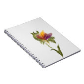 ノートブック (右側)