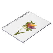 ノートブック (左側)