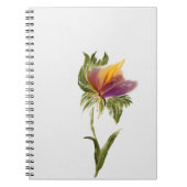 ノートブック (正面)