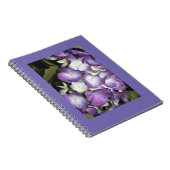 ノートブック (右側)