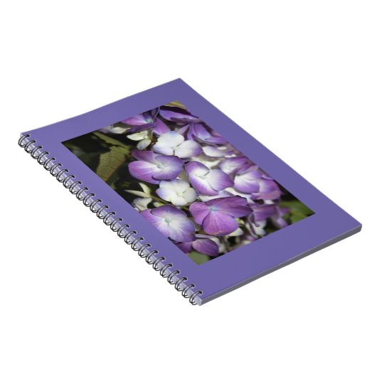 ノートブック (右側)