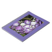 ノートブック (左側)