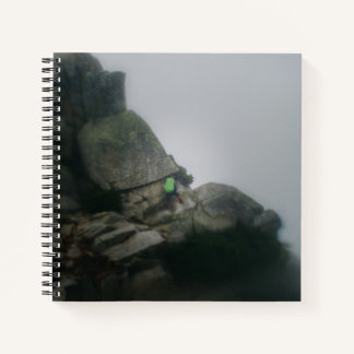 ノートブック – The Long Way to Pilchuck.