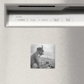 ノートルダムガルゴイル磁石 マグネット (インサイチュ (食洗機))