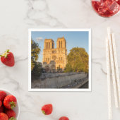 ノートルダムドパリアットゴールデンアワー – パリ，フランス スタンダードカクテルナプキン (インサイチュ)