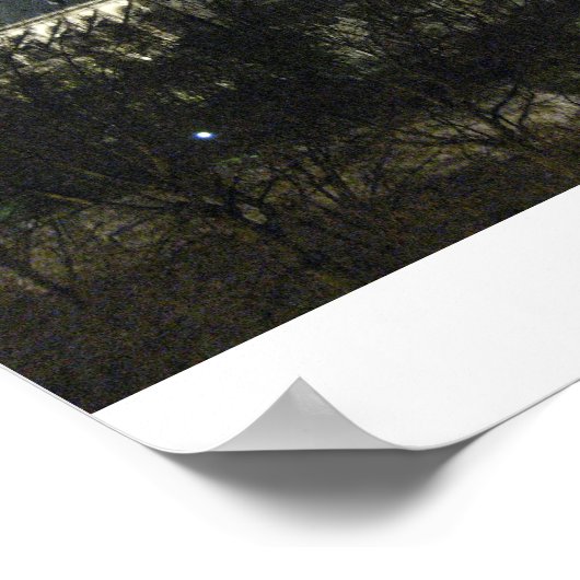 ノートルダム ポスター (角)