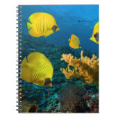 ノート型熱帯魚 ノートブック (正面)