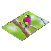 ノート最高のブックの選択：スタイルが一致する場所