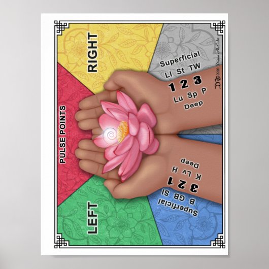 ノート用のパルスチャート ポスター (正面)