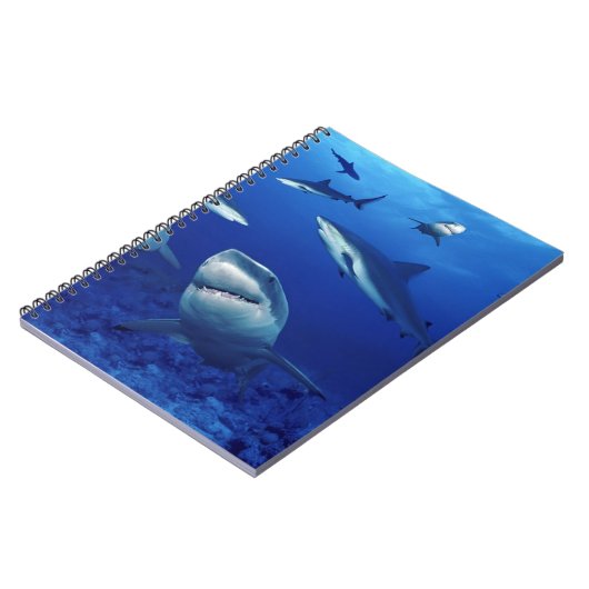 ノート鮫 ノートブック (左側)