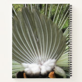 ノート – ピーコックポートレート (裏面)