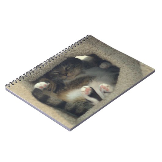 ノート-昼寝は猫をあなたは好みます! ノートブック (左側)