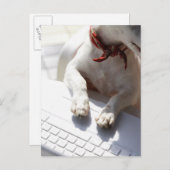 ノートPCに手を置く犬 ポストカード (正面/裏面)