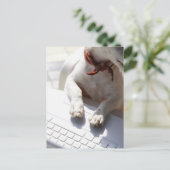 ノートPCに手を置く犬 ポストカード (スタンド正面)