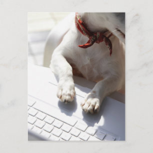 ノートPCに手を置く犬 ポストカード