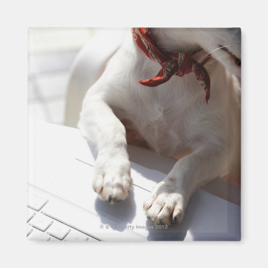 ノートPCに手を置く犬 マグネット (正面)