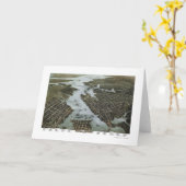 ノーフォークおよびポーツマスのVAのパノラマ式の地図- 1873年 カード (黄色い花)