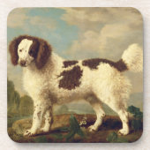 ノーフォークまたは水上スパニエル犬、1778年(大井) コースター (正面)