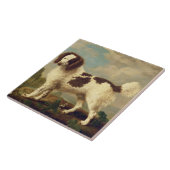 ノーフォークまたは水上スパニエル犬、1778年（大井） タイル (側面)