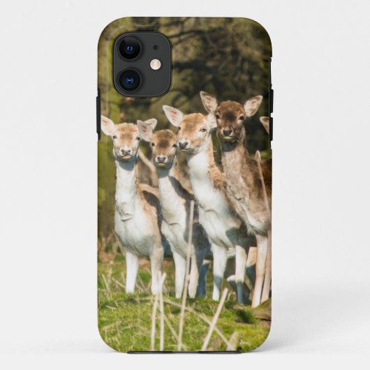 ノーフォークイングランドのホルカム公園でFallow Deer UK Case-Mate iPhoneケース (裏面)