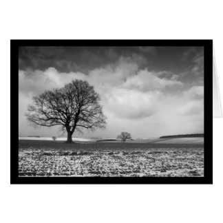 ノーフォークショー場面