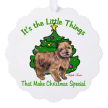 ノーフォークテリアのクリスマスプレゼント
