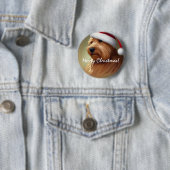 ノーフォークテリアクリスマス 缶バッジ (インサイチュ)