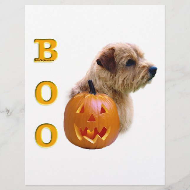 ノーフォークテリアハロウィーンブー (正面)