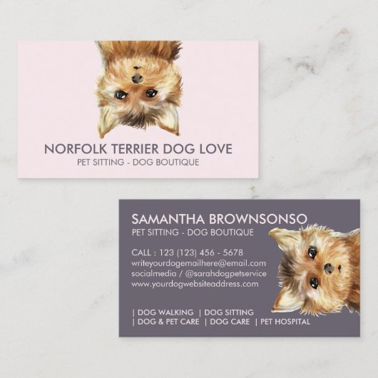 ノーフォークテリア犬 名刺 (正面/裏面)