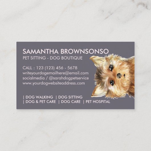 ノーフォークテリア犬 名刺 (裏面)