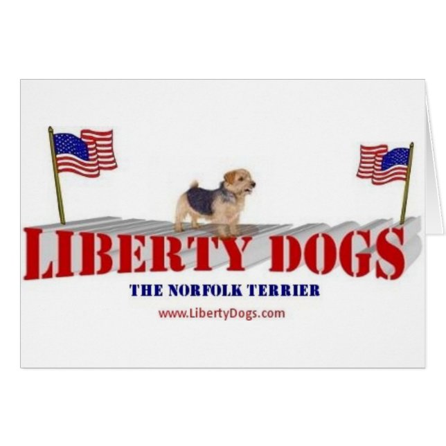 ノーフォークテリア (正面横)