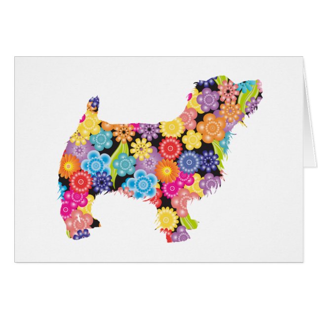 ノーフォークテリア (正面横)