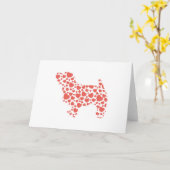 ノーフォークテリア カード (黄色い花)