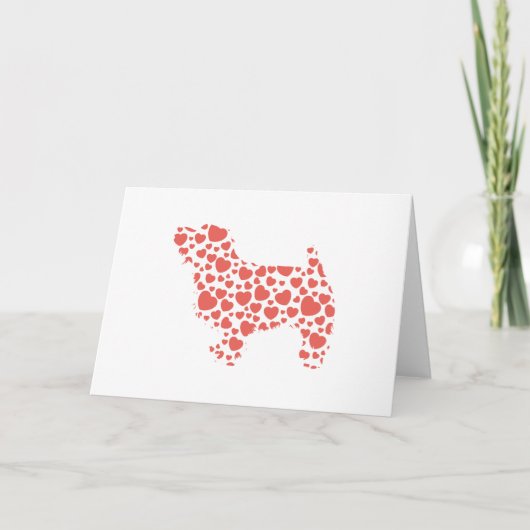 ノーフォークテリア カード (正面)