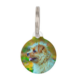 ノーフォークテリア・ドッグ。 ペット　ネームタグ