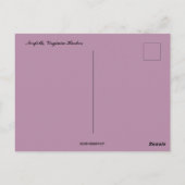 ノーフォークバージニアハーバーポストカードの夜景 ポストカード (裏面)