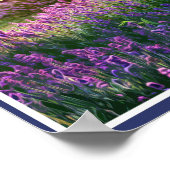 ノーフォークラベンダー – ラベンダーフィールドノーフォークイングランド ポスター (角)