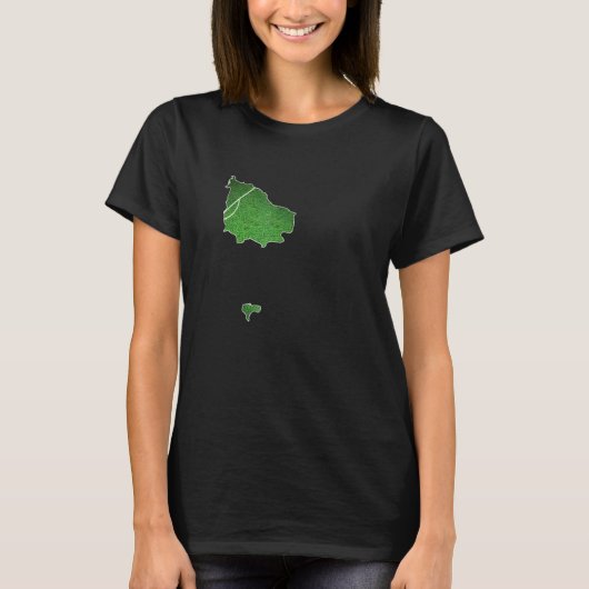 ノーフォーク島サッカー場 Tシャツ (正面)