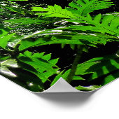 ノーフォーク島松 ポスター (角)